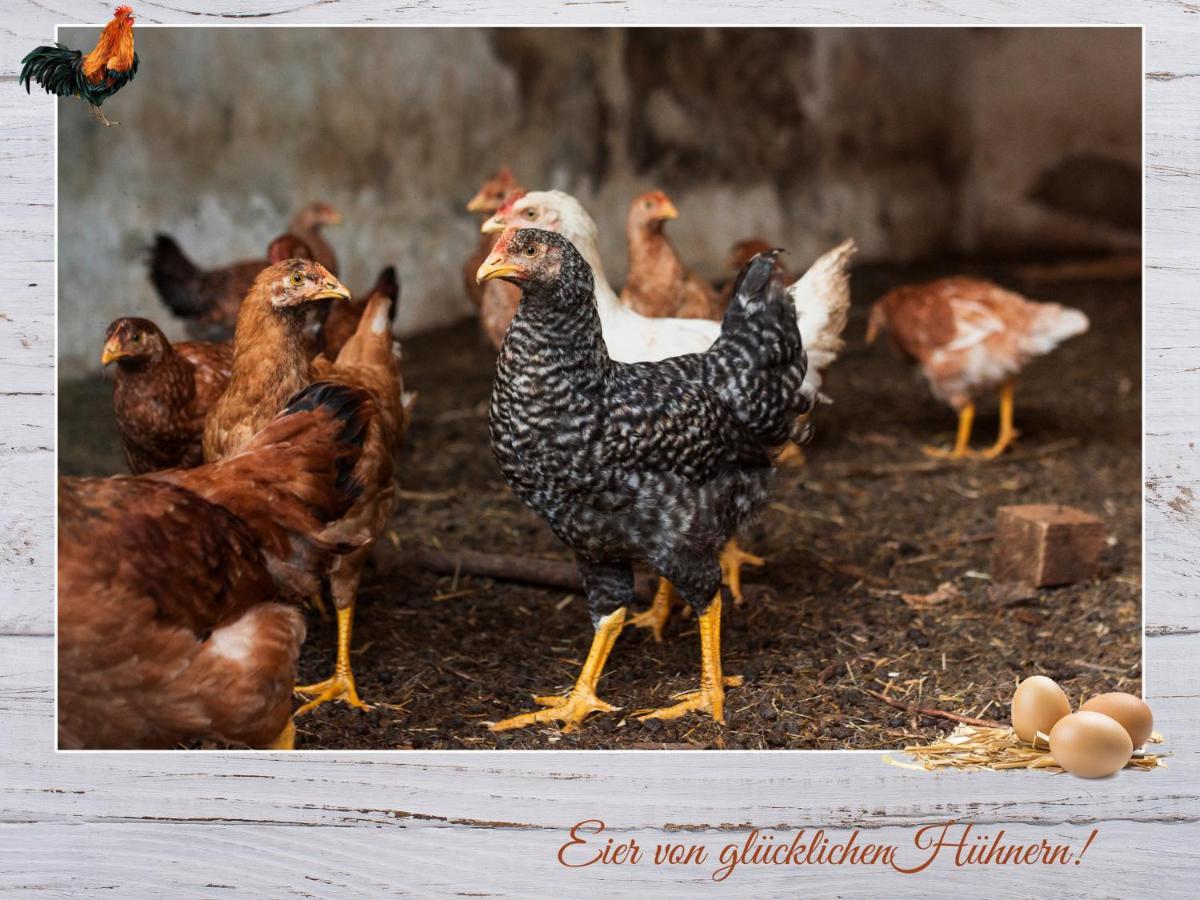 Fewo-Egger-Thalmann Virgen Zewnętrze zdjęcie